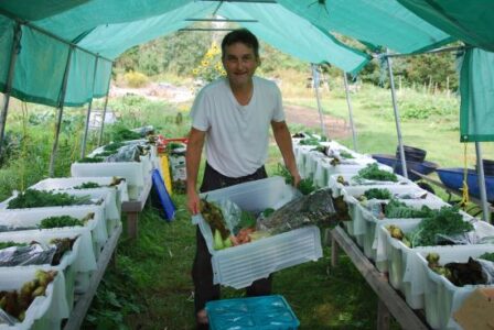 Running a Successful CSA Image